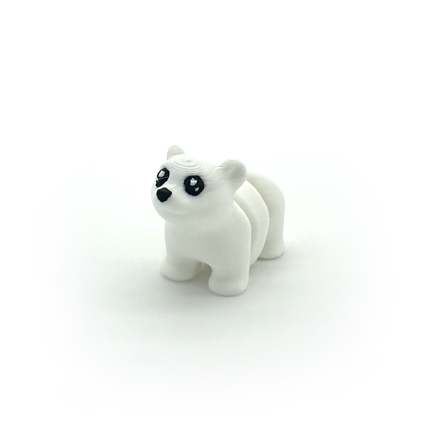 Ours polaire